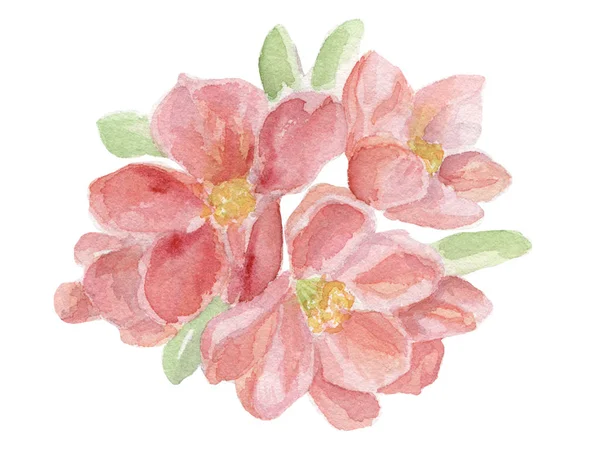 ●水彩画描き下ろしイラスト。白い背景に隔離されたピンクの花. — ストック写真
