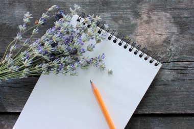 İçinde boş beyaz kağıt olan eskiz defterini aç ve bir demet lavanta çiçeği ve kopyalanmış gri ahşap arka planda. Üst görünüm, seçici odak
