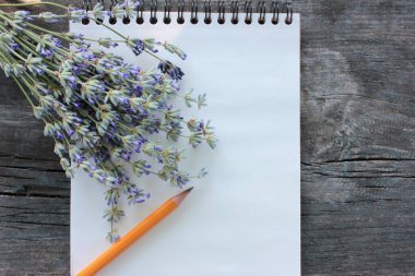 İçinde boş beyaz kağıt olan eskiz defterini aç ve bir demet lavanta çiçeği ve kopyalanmış gri ahşap arka planda. Üst görünüm, seçici odak