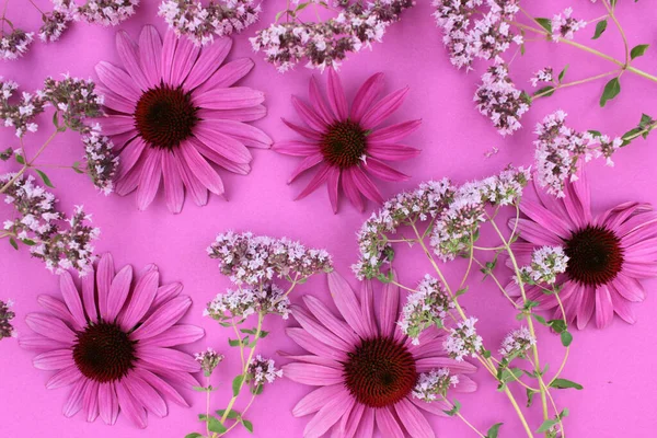 Purple floral background with echinacea and oregano flowers. Top view, copy space, selective focus
