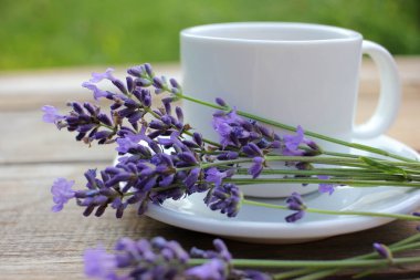 Ahşap masa arkasında lavanta çiçekli bir fincan kahve ve fotokopi alanı. Yaz sabahı kahvesi. Üst görünüm