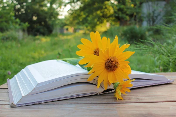 Open book and yellow flowers on a wooden table outdoors. Reading in summer garden