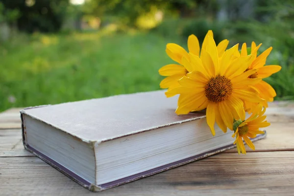 Livro Velho Flores Amarelas Uma Mesa Madeira Livre Lendo Jardim — Fotografia de Stock