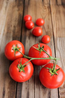 Sarmaşıkta taze domates ve kırsal ahşap masada vişneli domates.