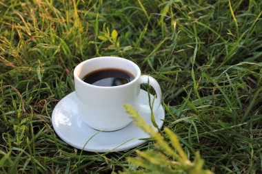 Yeşil çimlerin üzerinde beyaz bir fincan kahve. Üst Manzara. Uzayı kopyala Yaz yaşam tarzı