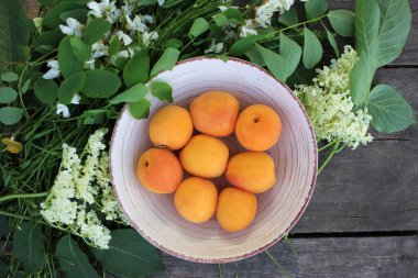 Akasya çiçekleri, mürver böğürtlenleri ve otlarla süslenmiş ahşap bir masada beyaz bir şarap kasesinde taze taze kayısılar. Yaz kompozisyonu