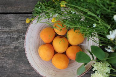 Akasya çiçekleri, mürver böğürtlenleri ve otlarla süslenmiş ahşap bir masada beyaz bir şarap kasesinde taze taze kayısılar. Yaz kompozisyonu