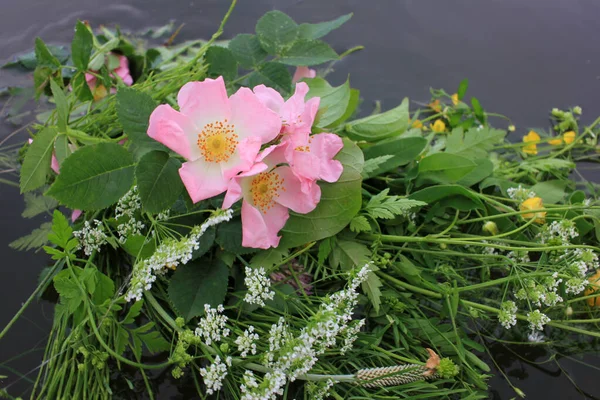 Flores Verão Água Bando Rosa Rosa Rosa Quadris Borboletas Amarelas — Fotografia de Stock