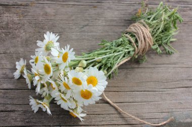Dışarıdaki kırsal bir masada bir buket beyaz papatya. Ahşap arka planda taze papatya çiçekleri