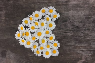 Kırsal ahşap arka planda beyaz papatyalardan yapılmış bir kalp. Kalp şeklinin üst görüntüsü papatya çiçekleri
