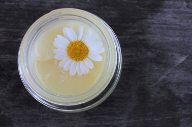 Doğal papatya yüz kremi ve koyu ahşap arka planda taze papatya çiçekleri. Ev yapımı güzellik ürünü. Organik kozmetik ve kendine bakım konsepti. Üst görünüm, alanı kopyala.