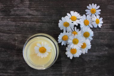 Doğal papatya yüz kremi ve koyu ahşap arka planda taze papatya çiçekleri. Ev yapımı güzellik ürünü. Organik kozmetik ve kendine bakım konsepti. Üst görünüm, alanı kopyala.