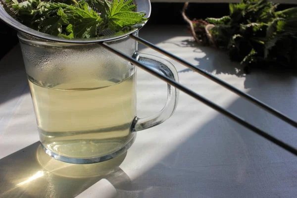 Tisane Fraîche Faite Partir Des Feuilles Des Racines Plante Ortie — Photo