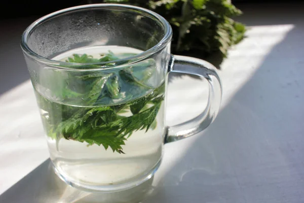 Fresh Herbal Tea Made Leaves Roots Stinging Nettle Plant Glass — Stock Photo, Image