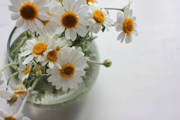 Stokrotki Szklanym Wazonie Bukiet Białych Kwiatów Rumianku Białym Drewnianym Tle — Zdjęcie stockowe