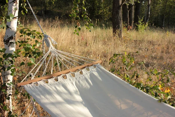 秋の森の白樺の木にかかって白いキャンバスハンモックの閉鎖 リラックスした屋外休暇 ピクニックの背景 — ストック写真