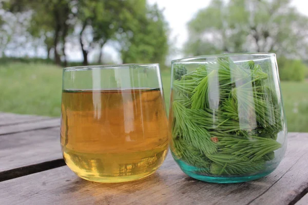Spruce Tips Tea Glass Wood Table Close Conifer Young Green — Stock Photo, Image