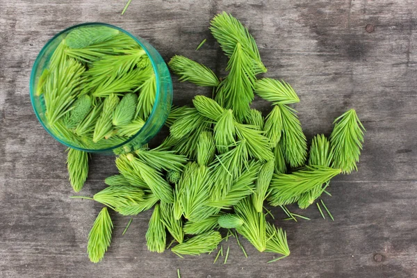 Spruce Tips Wood Table Close Conifer Young Green Cones Rustic — Stock Photo, Image