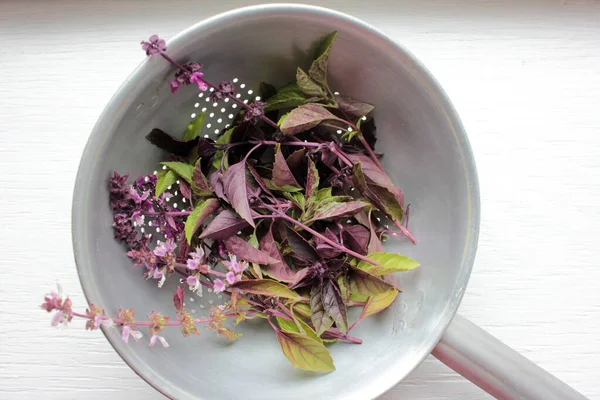 Close-up of fresh purple basil leaves and flowers in a colander on a white wooden background