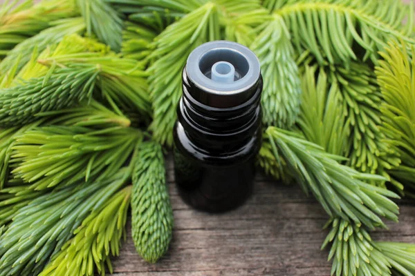 Small Bottles Coniferous Essential Oil Green Spruce Tips Wooden Background — Stock Photo, Image