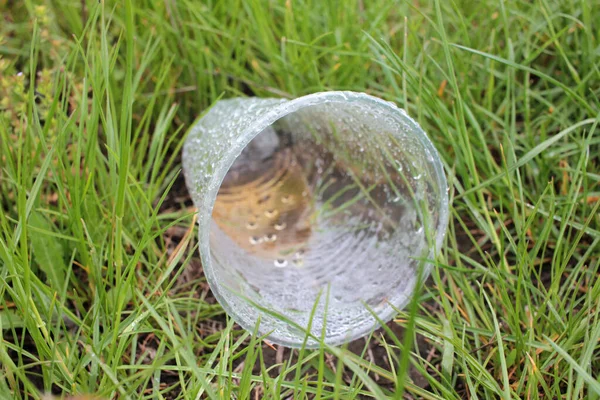 Närbild Tom Engångs Plastmugg Gräset Efter Regnet Begreppet Förorenat Plastavfall — Stockfoto
