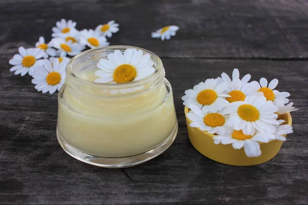 Natural Chamomile Face Cream Fresh Daisy Flowers Dark Rustic Wooden — Stock Photo, Image