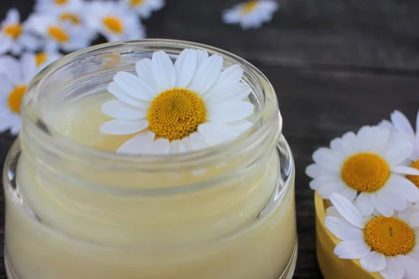 Natural Chamomile Face Cream Fresh Daisy Flowers Dark Rustic Wooden — Stock Photo, Image