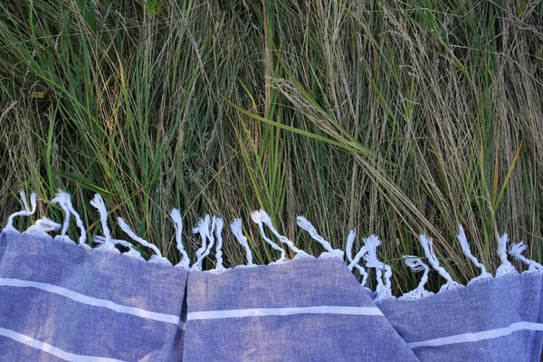 Coperta Picnic Blu Sfondo Verde Erba Vista Dall Alto Copia — Foto Stock