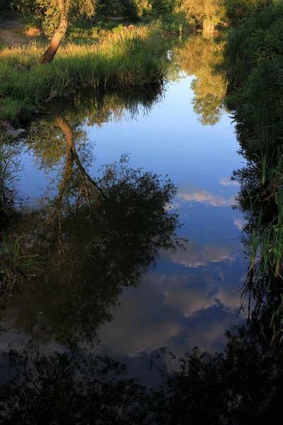 Reflet Des Arbres Des Nuages Dans Eau Rivière Paysage Estival — Photo