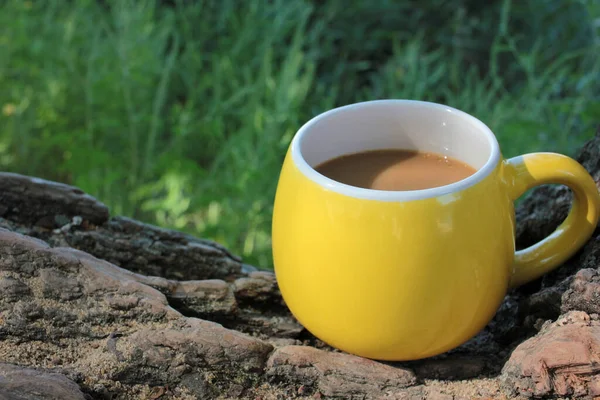 Tasse Jaune Café Sur Arbre Tombé Dans Parc Jardin Fond — Photo