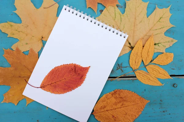 Notebook Blank Sheet Blue Background Autumn Leaves Creative Flat Lay — Stock Photo, Image