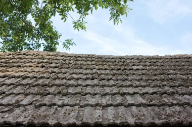 Yosun, ağaç dalları ve gökyüzü ile kaplı eski kiremit çatı. Döşemeli arkaplan