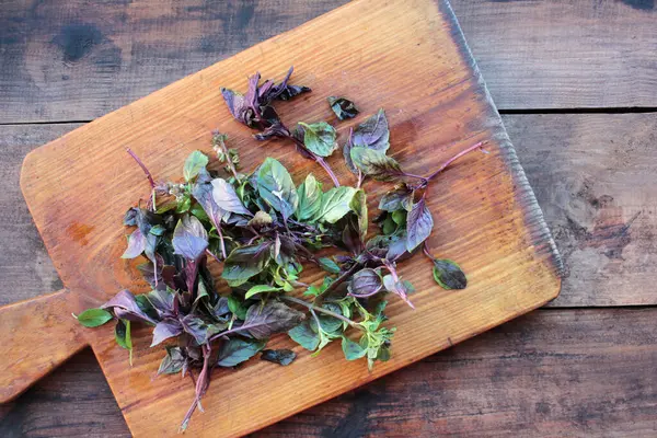 Kesme tahtasında taze mor ve yeşil fesleğen. Ahşap masa arkasında bitkiler. Üst görünüm