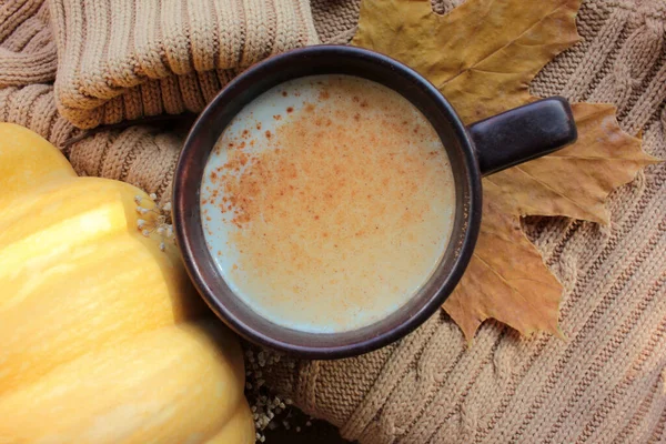 Copa Café Con Leche Calabaza Con Canela Suéter Calabaza Hojas —  Fotos de Stock