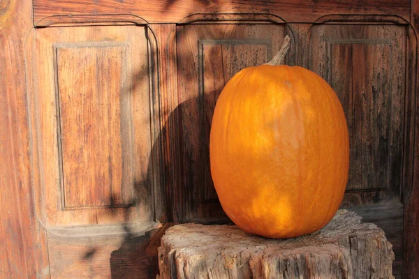 Kürbis Auf Der Veranda Auf Hölzernen Türhintergrund Halloween Dekor Freien — Stockfoto