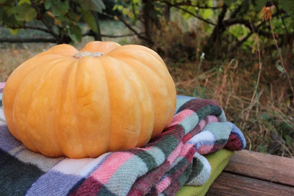 Pumpkin Stack Folded Checkered Plaids Autumn Garden Cozy Fall Concept — Stock Photo, Image