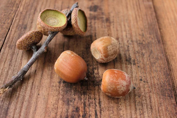 Höst Sammansättning Med Ekollon Ett Träbord Naturlig Höst Bakgrund — Stockfoto