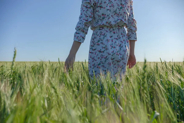 A girl stands on a field of cereals in a dress — Stock Photo, Image