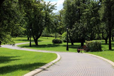 Ağaçlar, çalılar ve sokak lambası duvar kâğıdı manzaralı yeşil arka plan parkı