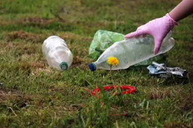 Dünya gezegenini plastiğin kirliliğinden kurtarıyorum. Karahindiba filizi ve yeşil çimlerin üzerinde şişe. Dünya 'yı çürüyen plastik bozulmasından koru