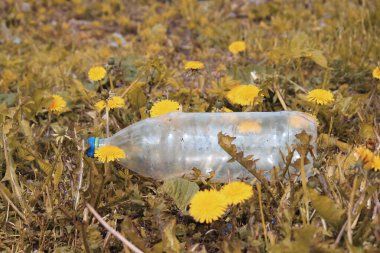Dünya gezegenini, doğayı ve çevreyi plastiğin kirliliğinden kurtarmak. Karahindiba filizi ve yeşil çimlerin üzerinde şişe