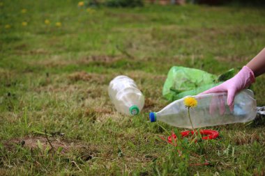 Dünya gezegenini, doğayı ve çevreyi plastiğin kirliliğinden kurtarmak. Karahindiba filizi ve yeşil çimlerin üzerinde şişe