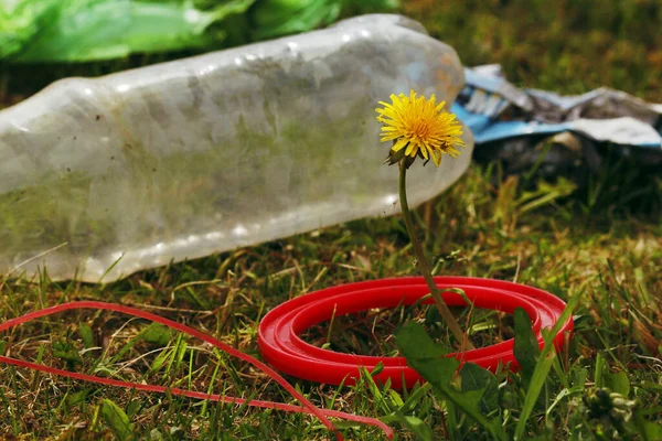 Saving the planet earth from pollution of plastic. Dandelion sprout and bottle on the green grass. Save earth from decaying plastic decomposition