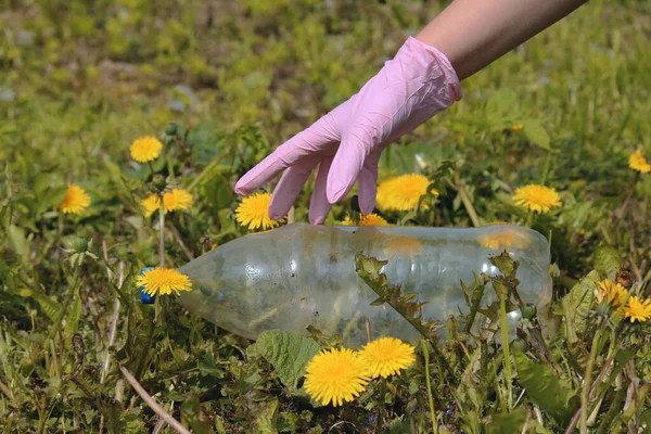 İnsan gezegeni plastiğin kirliliğinden kurtarıyor. Karahindiba filizi ve yeşil çimlerin üzerinde şişe. Dünya 'yı çürüyen plastik bozulmasından koru