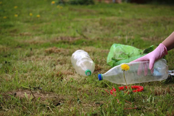 Dünya gezegenini, doğayı ve çevreyi plastiğin kirliliğinden kurtarmak. Karahindiba filizi ve yeşil çimlerin üzerinde şişe