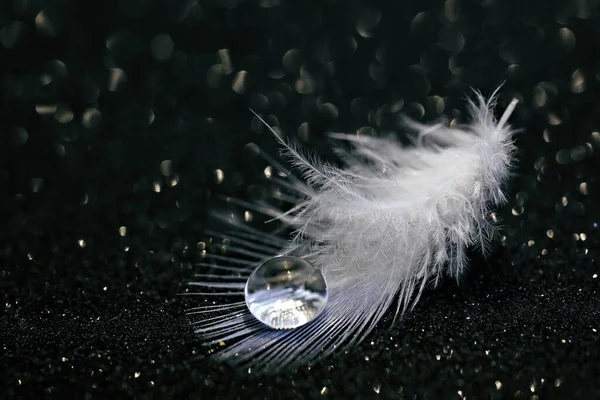 Su damlası tüylü bir tüy üzerinde koyu bir arka planda Bokeh ile