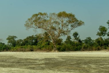 Yalnız renkli bir balıkçı teknesi uçsuz bucaksız kumlu bir sahilde, yalnızlığı, açık alanı ve minimalist kıyı yaşamının huzur veren güzelliğini vurguluyor.