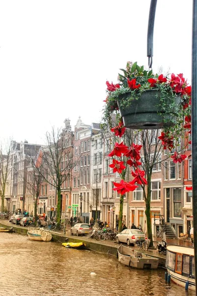 Beautiful Vase Flowers Hanging Canal — Stock Photo, Image