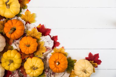 Cadılar Bayramı 'nın ya da Şükran Günü' nün en iyi manzarası, balkabakları, akçaağaç yaprakları ve beyaz arka planda çam kozalakları ve metin için fotokopi alanı. Cadılar Bayramı kavramları, Şükran Günü kavramları.