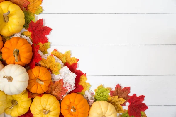 Cadılar Bayramı 'nın ya da Şükran Günü' nün en iyi manzarası. Beyaz arka planda balkabağı ve akçaağaç yaprakları ve metin için fotokopi alanı. Cadılar Bayramı kavramları, Şükran Günü kavramları.